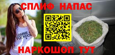 Альфа ПВП Гатчина