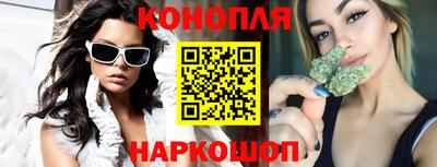 Альфа ПВП Гатчина