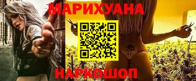 Альфа ПВП Гатчина