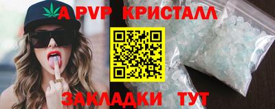 Альфа ПВП Гатчина