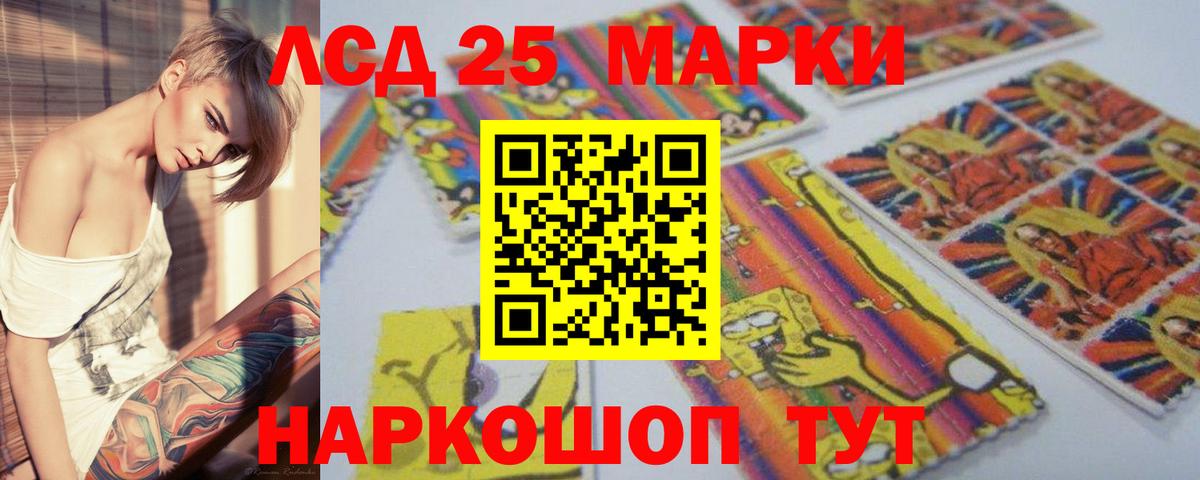 ЛСД экстази ecstasy  MEGA ссылки  Курчалой  Лсд 25 экстази кислота  Вход с VPN 