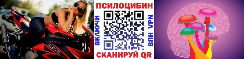 Псилоцибиновые грибы MAGIC MUSHROOMS  Курчалой 
