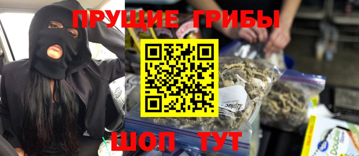 Курчалой  Галлюциногенные грибы Magic Shrooms  Вход с VPN 