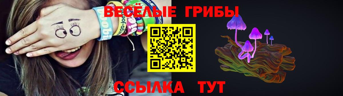 Псилоцибиновые грибы GOLDEN TEACHER Курчалой